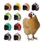 Why the Internet is Obsessed with the Pet Chicken Helmet: A Quirky Guide to Backyard Poultry Fashion